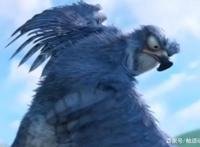 国产优质动画《笨鸟大冒险》：长路奉献给成长，翅膀奉献给友谊