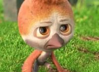 国产优质动画《笨鸟大冒险》：长路奉献给成长，翅膀奉献给友谊