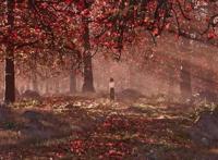 《雄狮少年》口碑炸了，“国漫崛起”有了新风口新路径