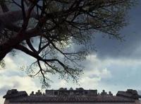 对观众有求必应！粤语版《雄狮少年》元旦公映