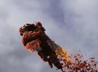 雄狮少年正式上线平台，豆瓣8.3不掉分，粤语已出，后续还有五部