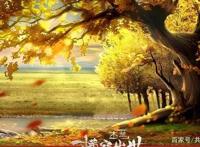 近期上映的七部动漫你都有看过吗