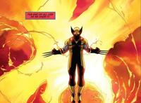 金刚狼也曾拥有毁天灭地的能力