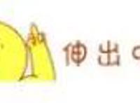 生不逢时？探讨《魁拔》系列口碑爆棚而票房惨淡的原因