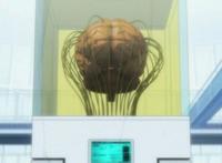 这部被禁神作，8.8分都嫌低！