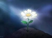 国产“圣杯战争”？这部优秀的国漫出第二季了！