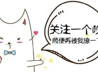 《镜双城》动漫：每个人物都身负重命，有各自必须要为之努力的事