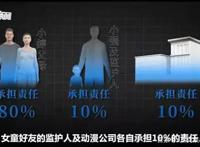 幼童坠亡华强方特被判担责10%，去年277部重点网络动画备案