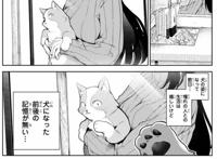 这本漫画真有趣：真“狗粮”漫画，生而为狗，我很幸福