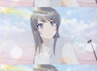 《青春猪头少年不梦尽兔女郎学姐》后续3