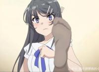 《青春猪头少年不梦尽兔女郎学姐》后续3