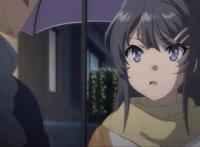 剧场版《青春猪头少年不会梦到怀梦美少女》监督×脚本的访谈