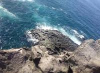 一座神奇的岛屿，东方的夏威夷，让我们走进世界自然遗产