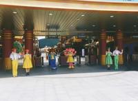 夏天旋转到头晕，济州岛神话世界，爆笑虫子与你高温作伴