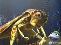 带着孩子一起看“昆虫动画片”吧，这几部不容错过