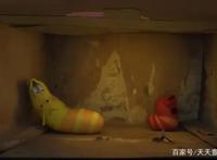 爆笑虫子：这就是所谓的兄弟吗？有福不必同享，有难必同当