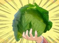 卷心菜作画崩坏史：二次元崩坏到三次元从此动画界没人敢画卷心菜