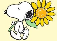 如果没有史努比，大家可能不清楚《花生漫画》，小猎犬深入人心
