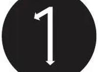 潮玩市场里的茅台，为什么是一只熊？