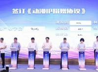 “融合发展，共建共富”，浙江这个大会解读：动漫IP也能助力乡村振兴