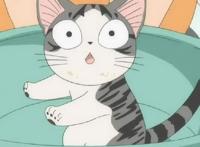 虎年说猫：动漫里的那些猫咪们