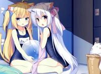 黑猫、白猫都是好猫，爱猫人士必看的五部动漫