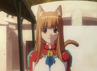 黑猫、白猫都是好猫，爱猫人士必看的五部动漫