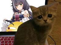 动漫壁纸：你家猫咪也许做到这些，但有一点应该做不到！