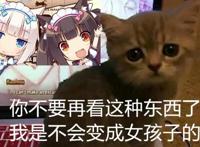 动漫：NEKOPARA在B站官宣动画化！为全年龄向动漫，知名声优配音