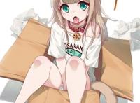 “快给我变”表情包走红，来分享一只我超喜欢的猫娘