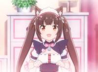 新番：盾之萌妹在猫娘面前，根本不值一提，猫娘才是一月“王道”