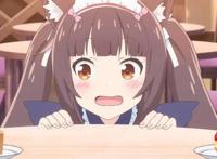 新番：盾之萌妹在猫娘面前，根本不值一提，猫娘才是一月“王道”