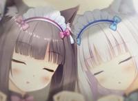 2020年一月动漫新番居然是动物王国？巧克力和香子兰她就这么香吗