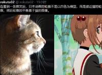 日本动漫角色都是照着“猫头”画的？猫娘这么受欢迎，也有了解释