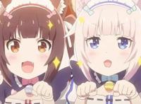 作为入宅十年的漫迷，说说日漫中让人印象深刻的猫娘角色