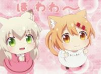 作为入宅十年的漫迷，说说日漫中让人印象深刻的猫娘角色