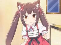 捡回一只猫娘怎么办？当然是不收养了，毕竟家里的猫娘已经够多了