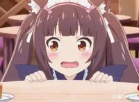 猛男必看番剧：既贤惠又可爱的猫娘，她难道不香吗！