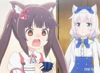 看了《猫娘乐园》后，你最大的变化是什么？或是对猫产生奇怪幻想