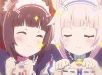 猫娘乐园：一大波猫娘来袭