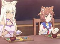 猫娘乐园：一大波猫娘来袭