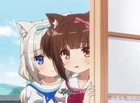 猫娘乐园原创动画已上线，讨人喜爱的新角色来啦