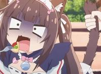 猫娘乐园原创动画已上线，讨人喜爱的新角色来啦