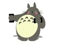 有一种幸运，叫对的时机遇见了对的动漫