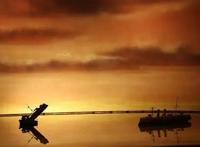 经历多轮资本退热，中国电影行业将走向何方？