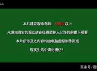 这部饱受争议的国漫停更，暴力，美学，血腥，码奴的未来是什么？