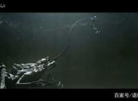 这部饱受争议的国漫停更，暴力，美学，血腥，码奴的未来是什么？