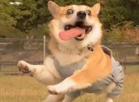 那些已经远去的童年动画！哪一部才是你的快乐？汇总篇