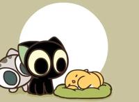 从Flash动画到泡面番，猫的网感不容小窥丨揭秘