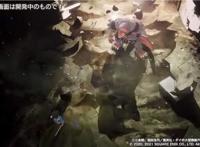 《DQ达伊的大冒险》手游国服公布TapTap预约开启